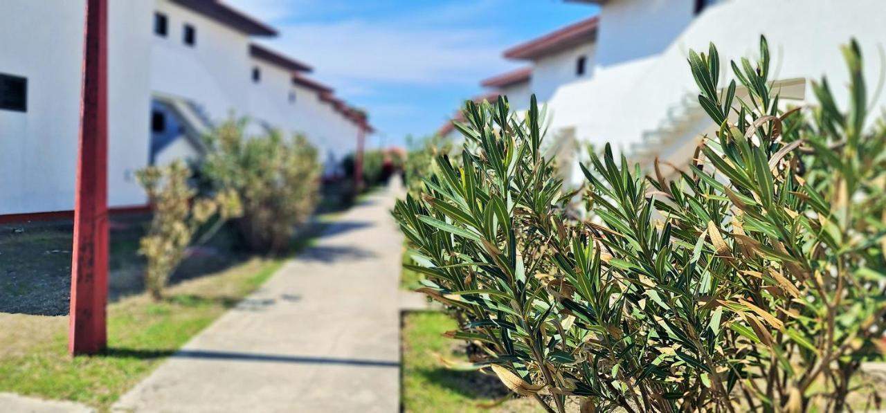 Fkk Ada Bojana Hotel Ulcinj Exterior photo